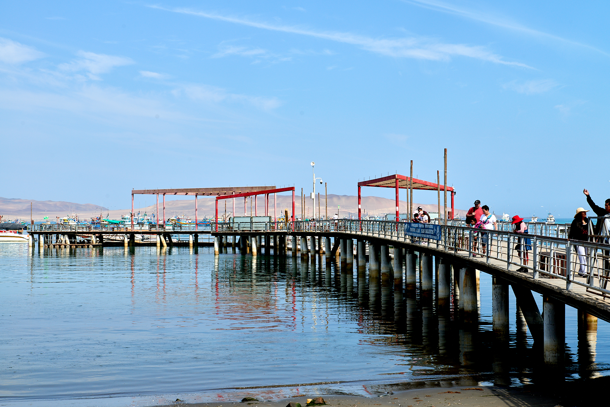 20200304 083 [페루] 바예스타섬